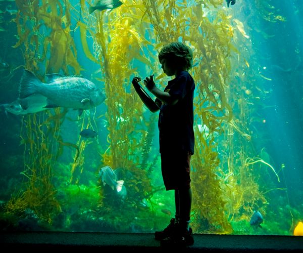 Family Holidays at Sofitel Sydney Wentworth