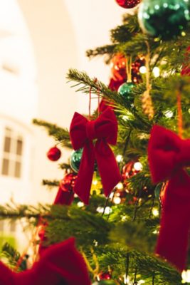 Raffles Hotel Le Royal 