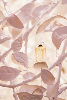 Raffles Le Royal Monceau Paris