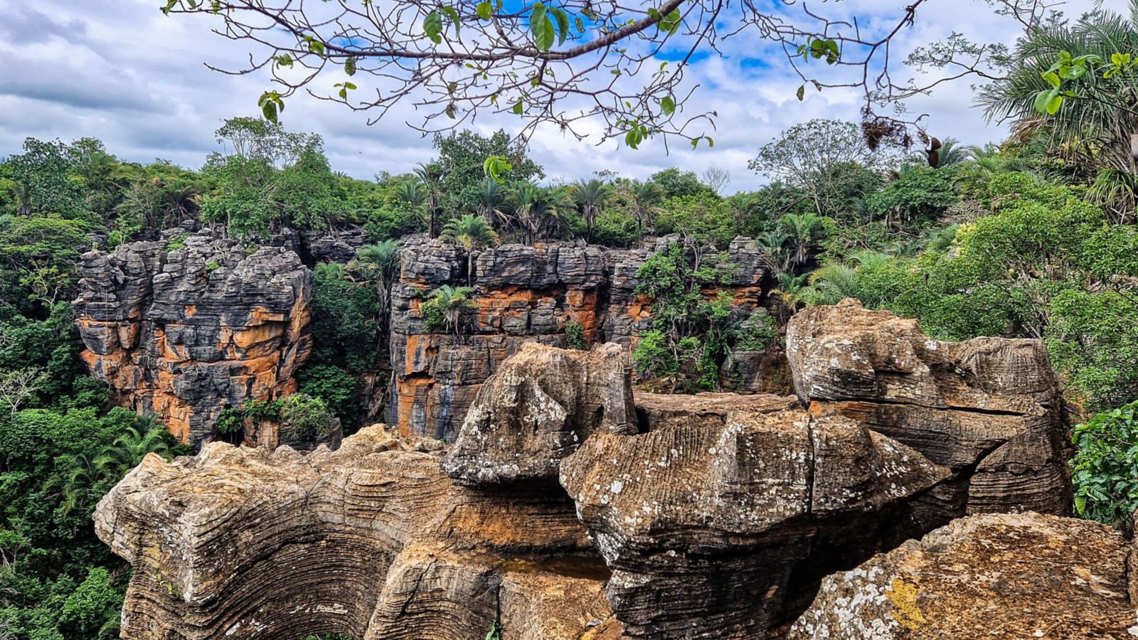 parques naturais brasileiros