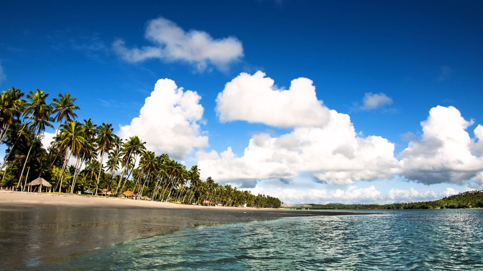 praias maceió, praia do carneiro, praias do nordeste