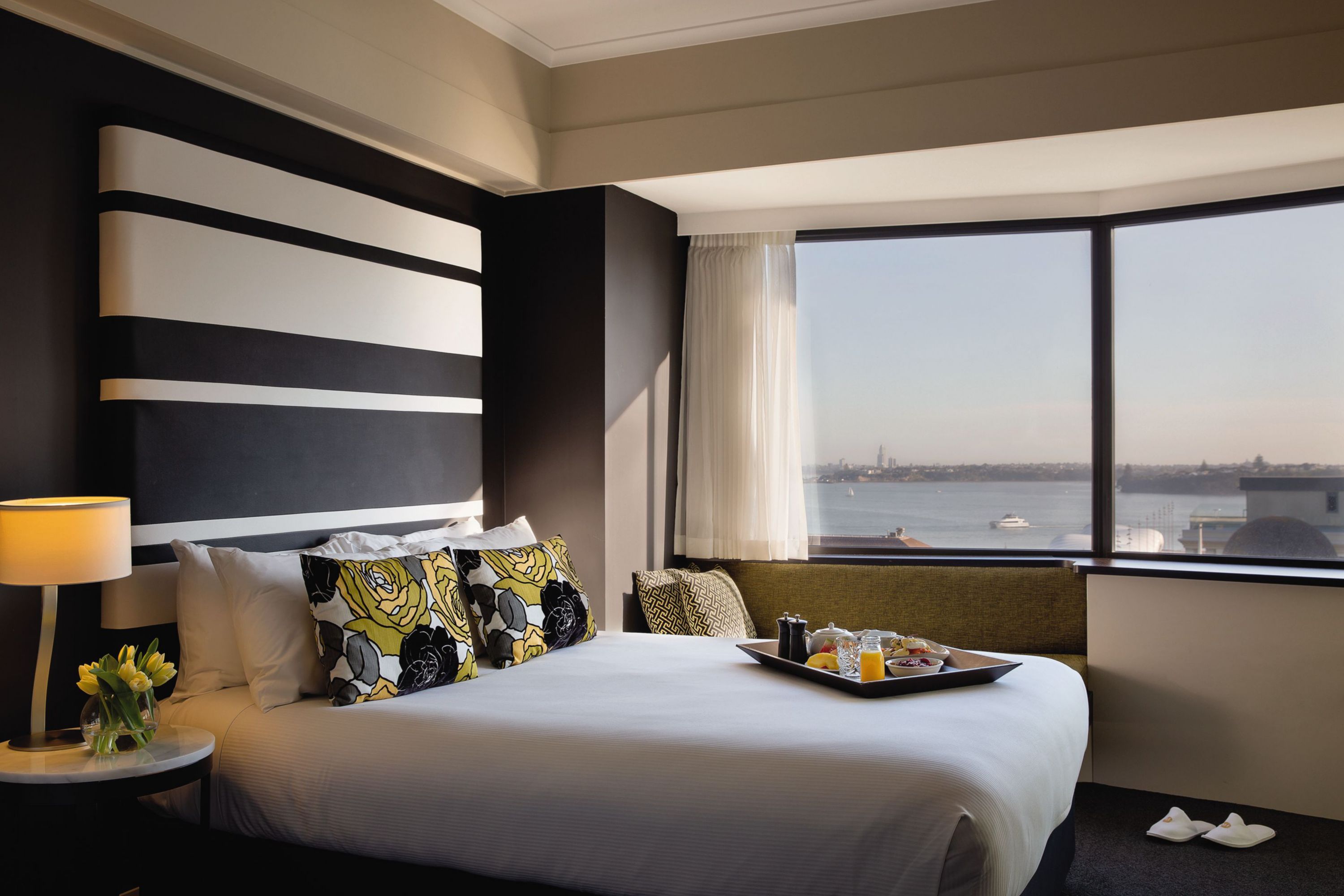 Auckland_xxxxxxxxx_i131445