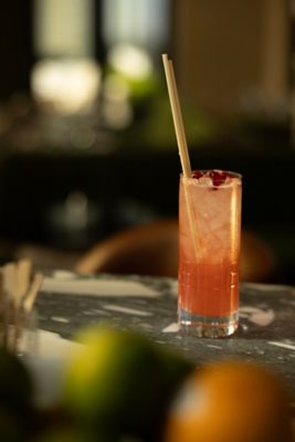 Pink Cocktail with Cranberries on a Marble Bar