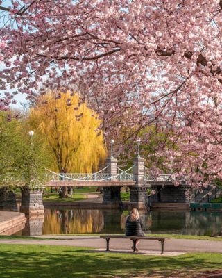 Boston Emerald Necklace by Jack Cohen