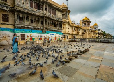 A bustling scene unfolds in front of a grand, intricately-designed Indian palace, its facade adorned with ornate balconies and intricate carvings. A woman, draped in a vibrant blue sari, gracefully traverses the courtyard, seemingly unfazed by the flurry of pigeons taking flight around her. The pigeons, a mix of gray and white plumage, are captured in various states of motion, their wings blurred as they scatter across the courtyard's stone paving. Some pigeons are perched on the edge of stone water bowls, their reflections barely visible on the water's surface. In the background, a vibrant mural depicts a procession of figures in colorful traditional attire, possibly representing a scene from Indian mythology or history. The cloudy sky above adds a dramatic backdrop to the scene, hinting at the dynamic energy of the courtyard.