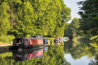 Colourful narrowboats moored by the towpath in tranquil Cassiobury Park, Watford