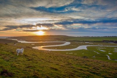 River Cuckmere in the South Downs National Park at golden hour, with rolling hills and a sheep