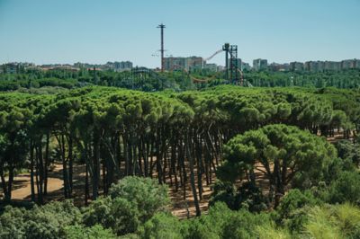 Frondoso bosque visto desde el Parque Teleférico de Madrid, con montaña rusa al fondo