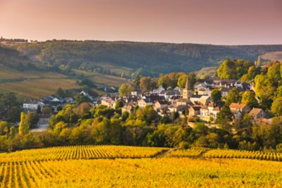 Wide, rolling vineyards in Burgundy, France, popular for day trips