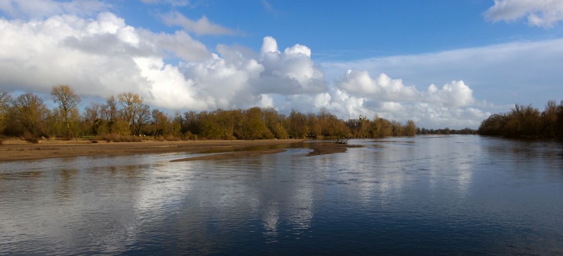 Serene River Landscape: Bord De L'Allier