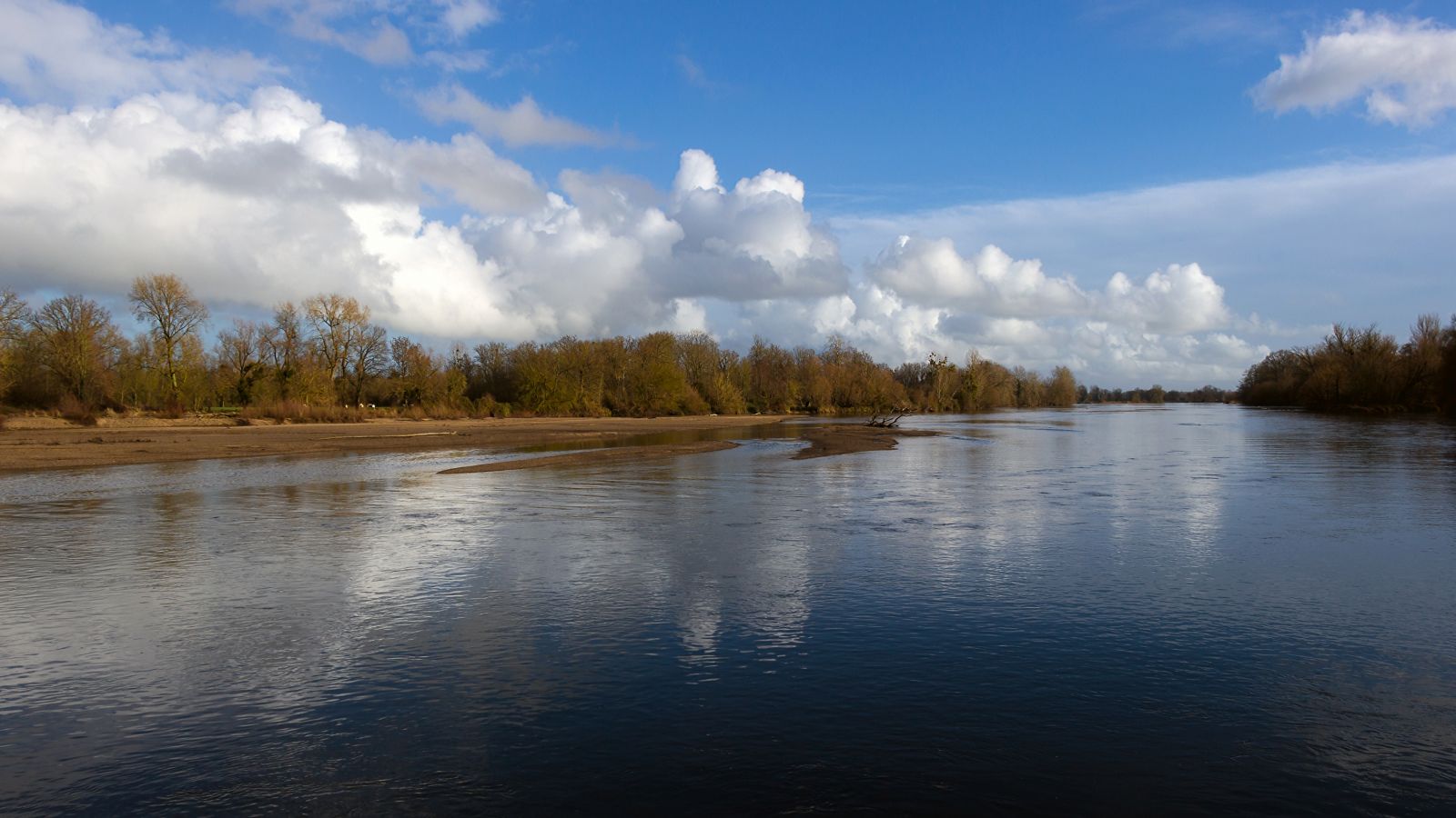 Serene River Landscape: Bord De L'Allier