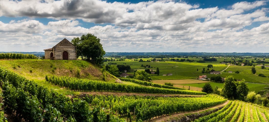 Vineyards at summer with Chapel. Bordeaux, France