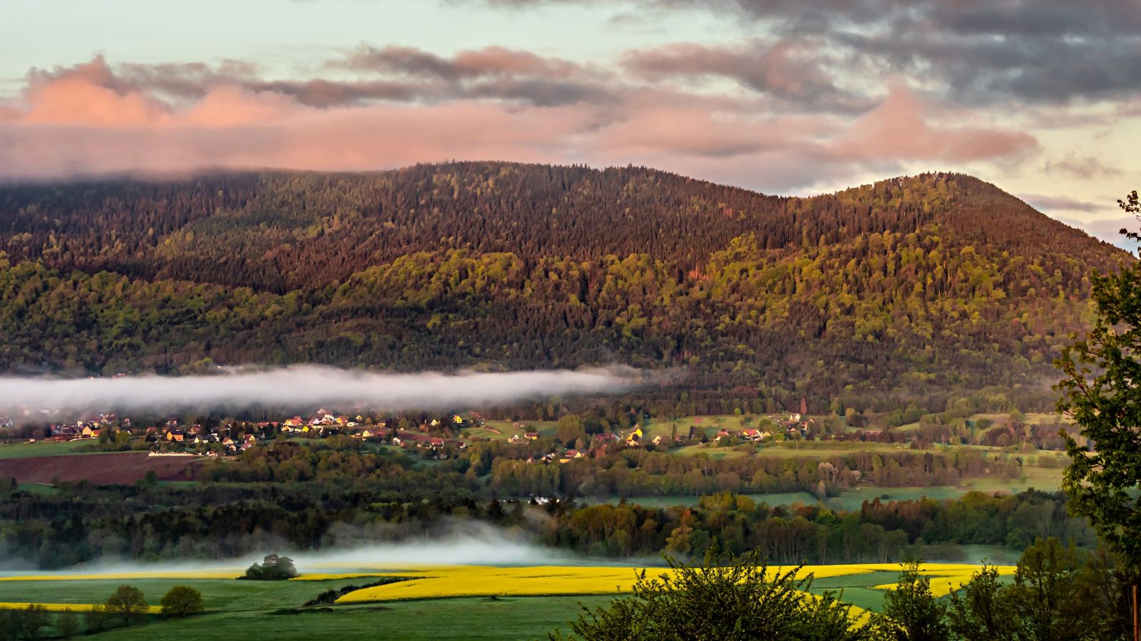 Sunrise over the Vosges Mountains: Fog, Forests, and Fields in Alsace, France