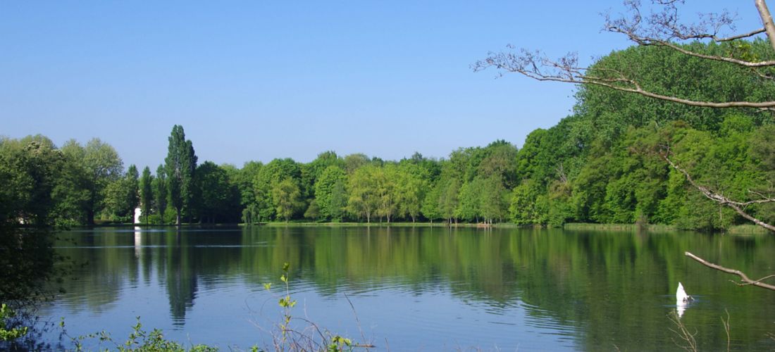 Serene Lake View near Viarmes, France