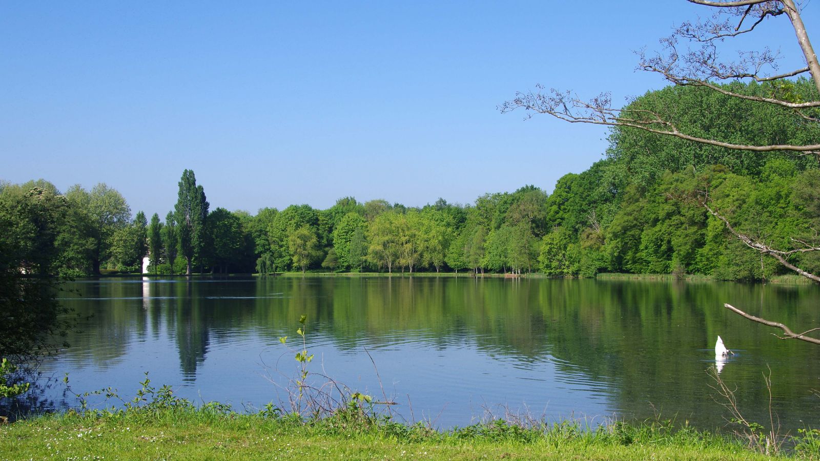 Serene Lake View near Viarmes, France