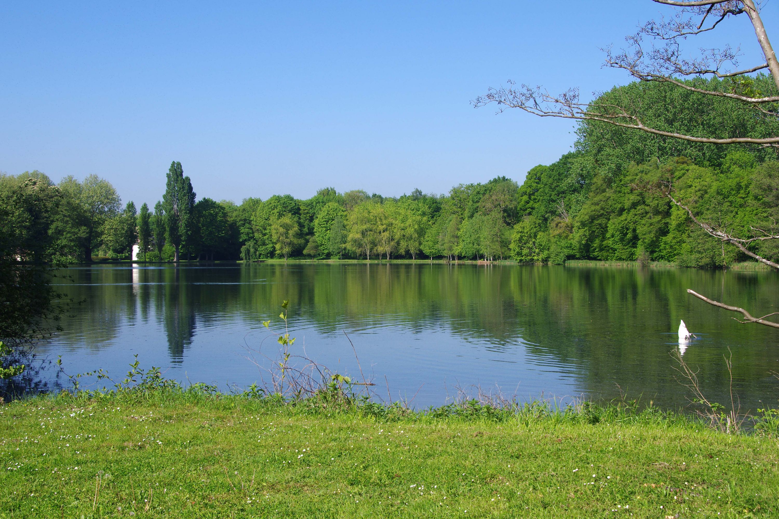 Serene Lake View near Viarmes, France
