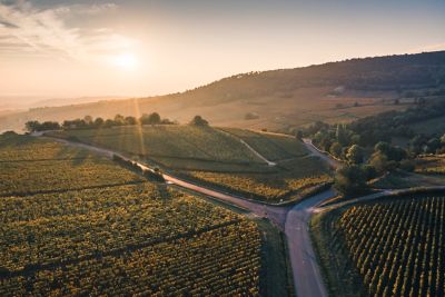 Routes au milieu des vignes près de Solutre-Pouilly, au soleil couchant