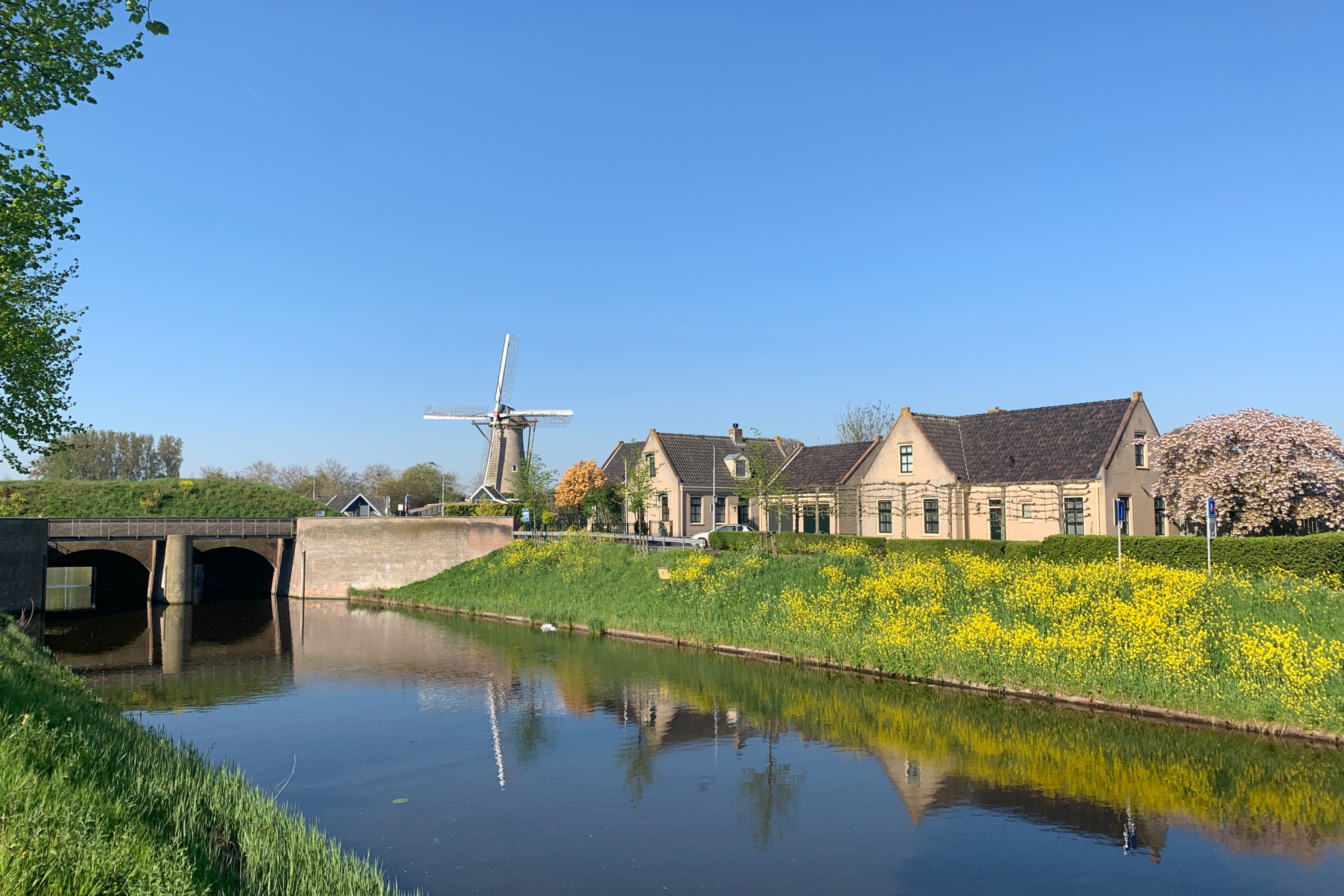 Springtime at The Firstborn Windmill in Hoofddorp