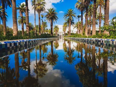 Arab League Park in Casablanca, with palm trees reflected in a water feature