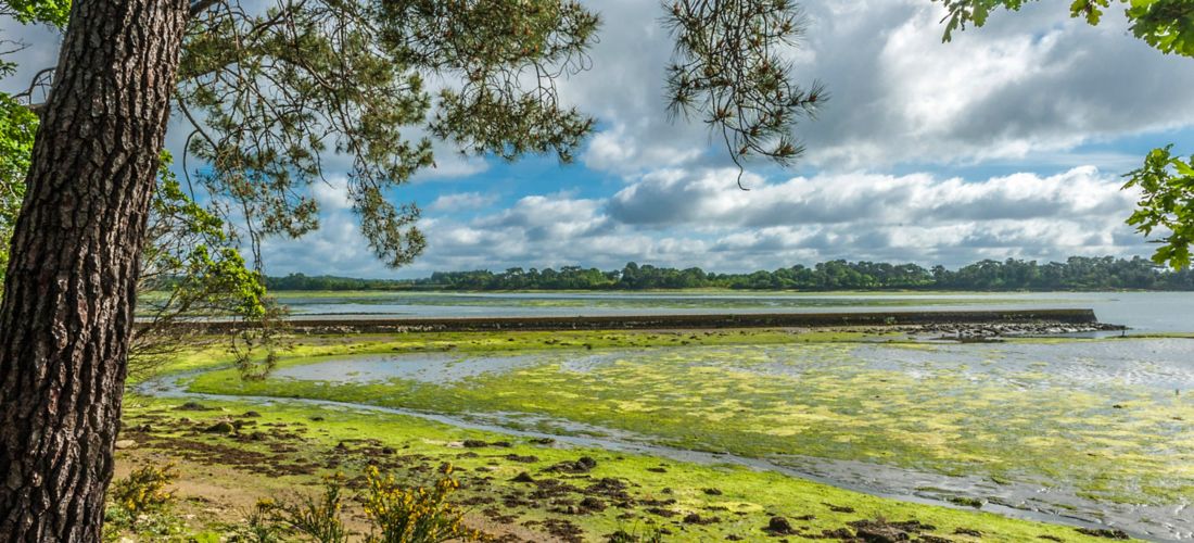 Serene Pont-l'Abbé River in Brittany, France