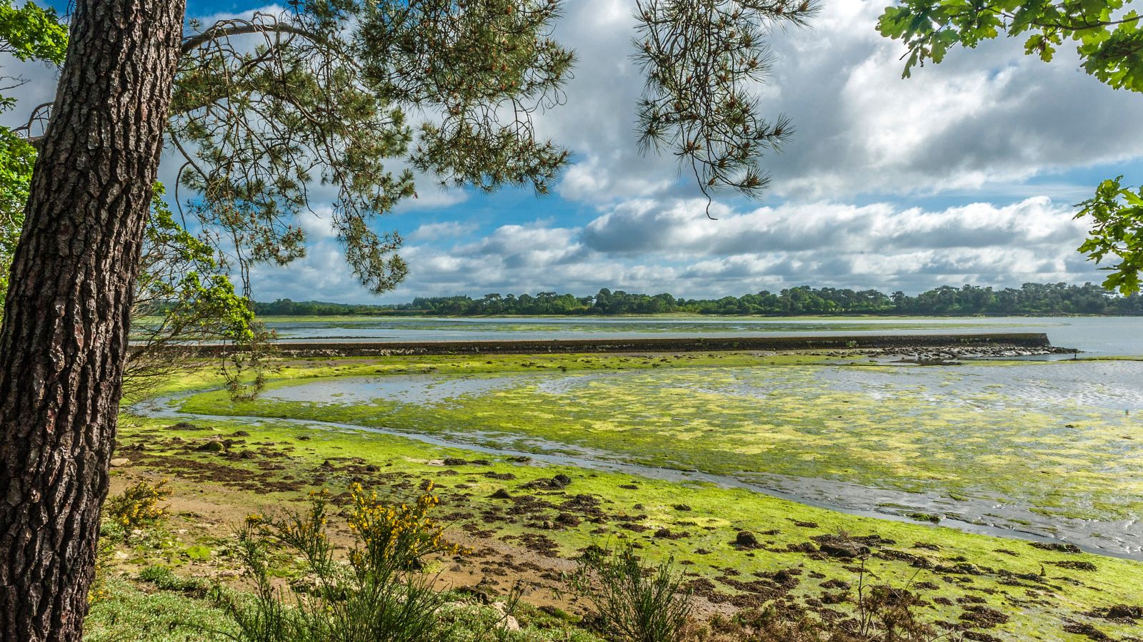 Serene Pont-l'Abbé River in Brittany, France