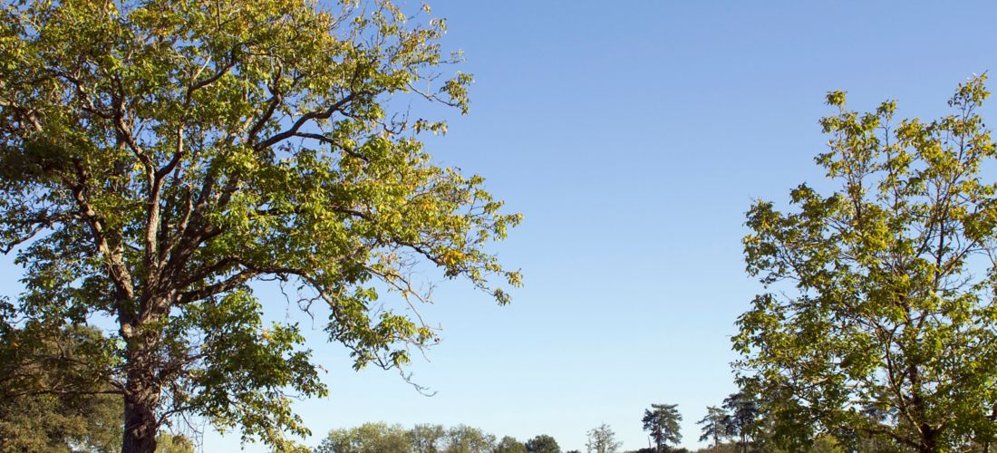 Cycling through Landreau Park, Les Herbiers, France