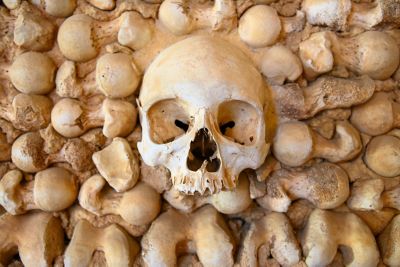 Crâne et os humains dans les catacombes