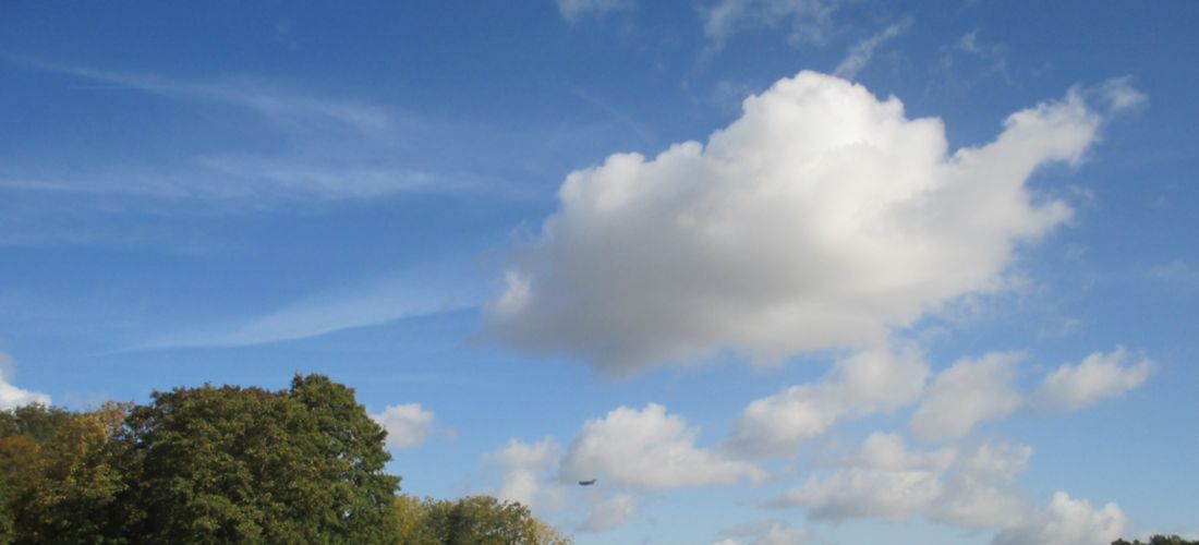 Autumn in Île-de-France: A Plane Soars Over a Public Park