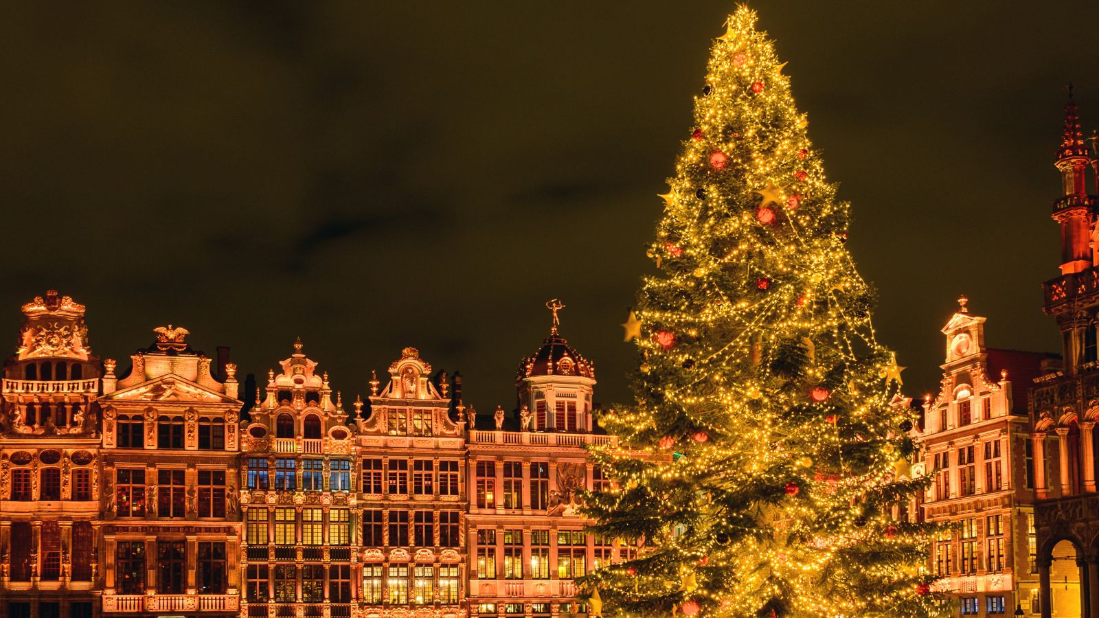 Brussels/gingerbread