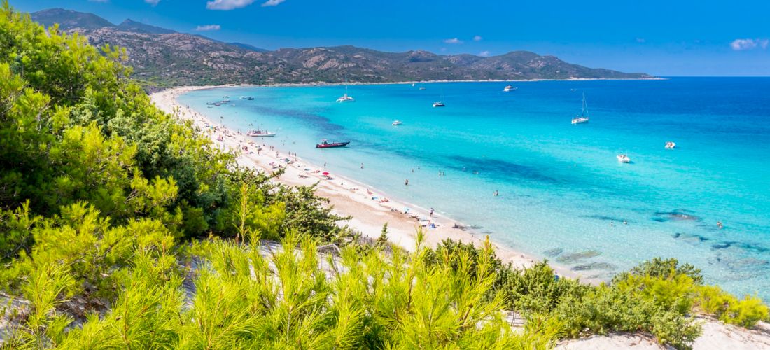 Summer Paradise: Saleccia Beach, Corsica