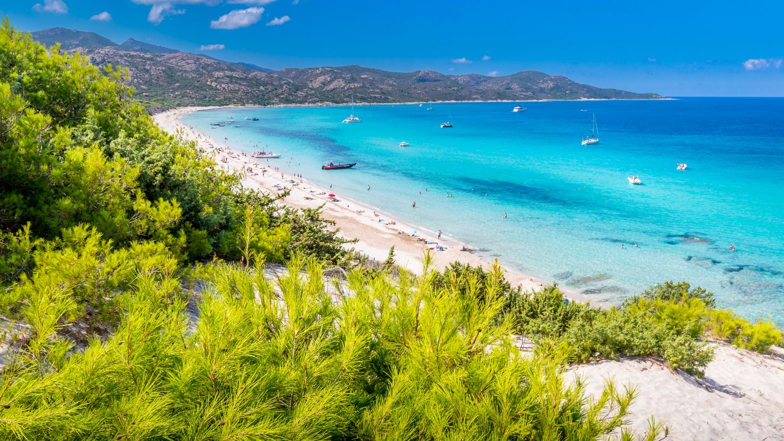 Summer Paradise: Saleccia Beach, Corsica