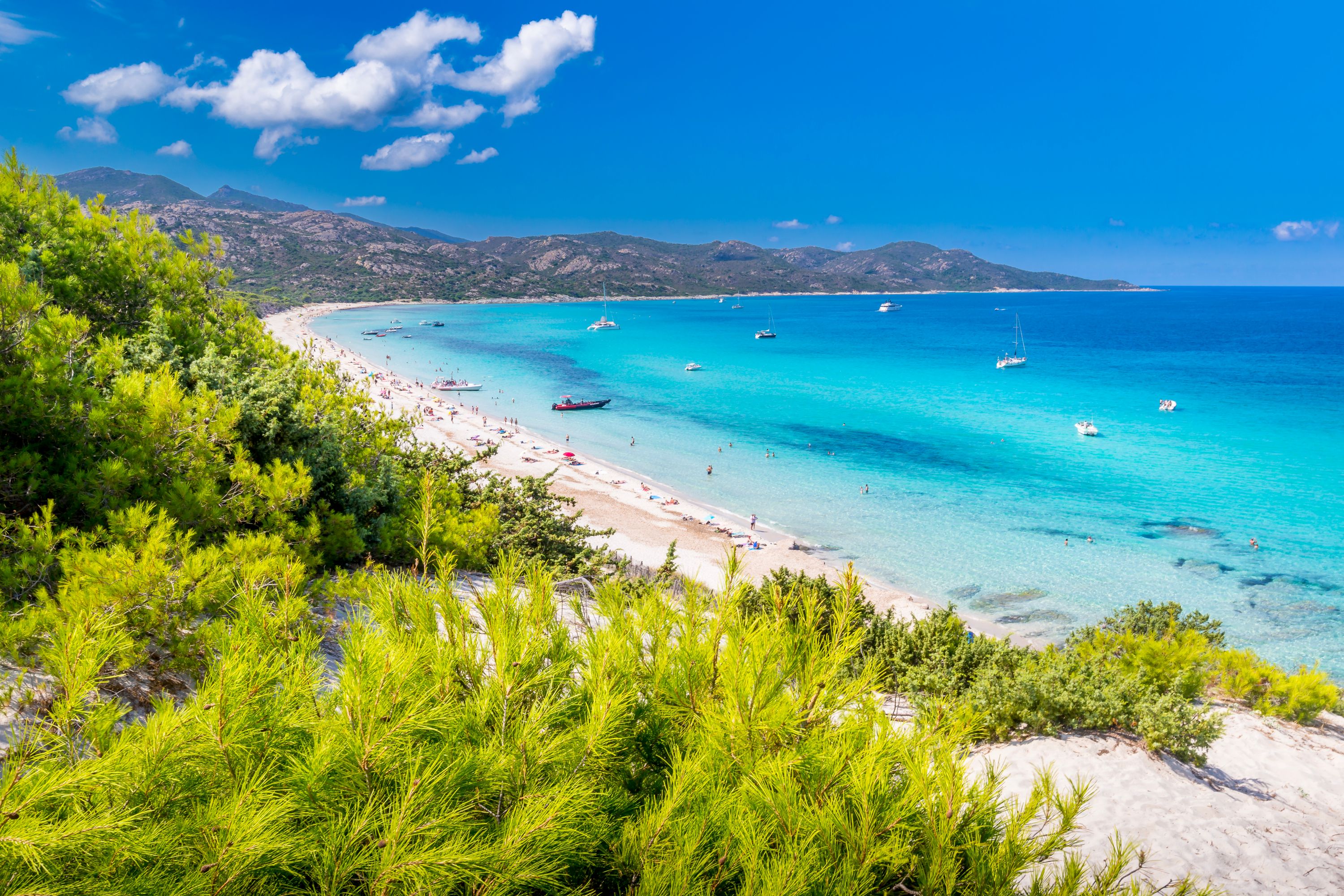 Summer Paradise: Saleccia Beach, Corsica