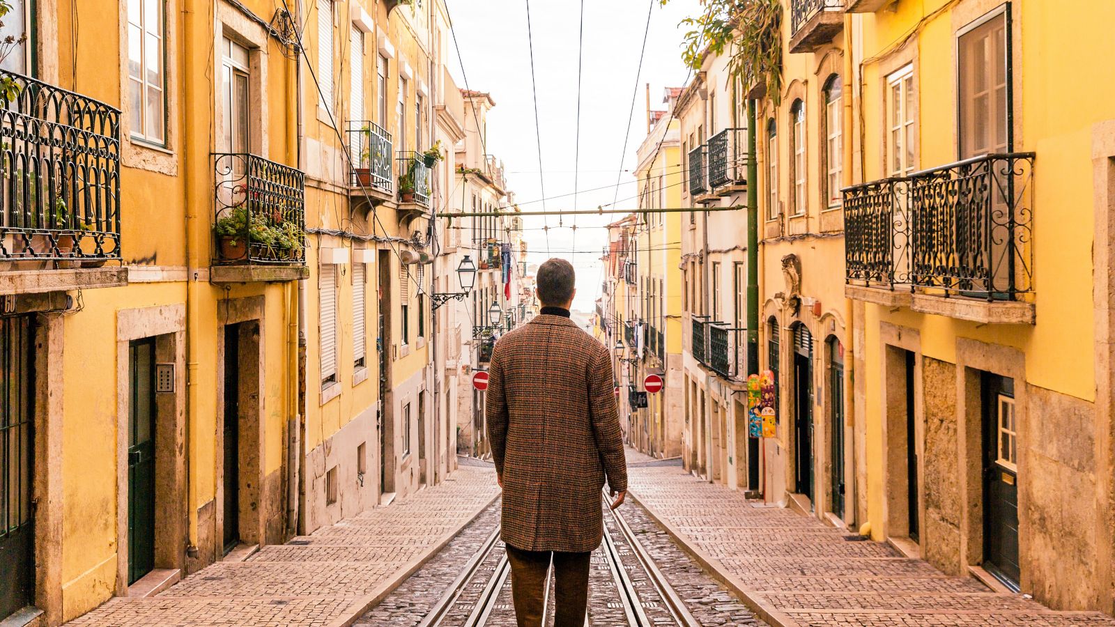 Viaduct Harbour in Auckland City