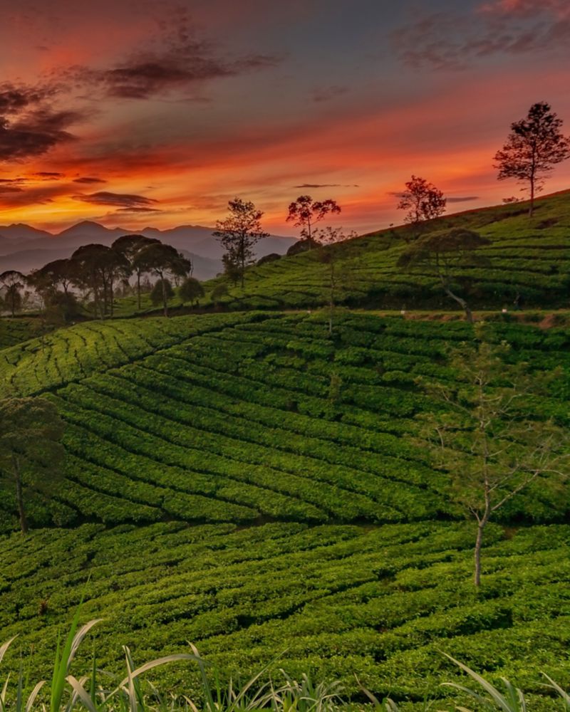 Bandung