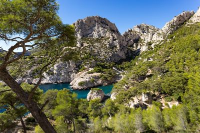 Calanque de Sugiton bei Marseille mit blau schimmerndem Fjord zwischen Felsen und Kiefern