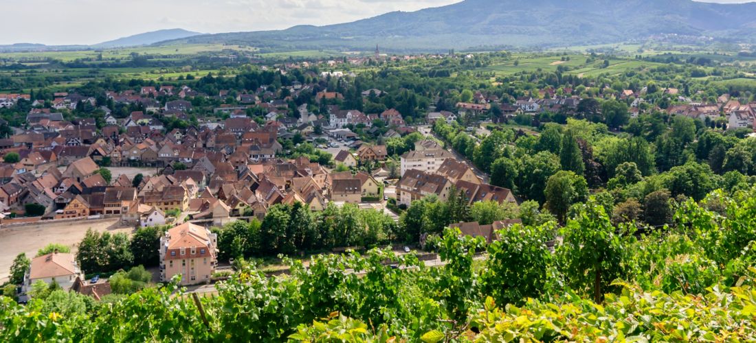 France-Obernai-View: Summer in Alsace