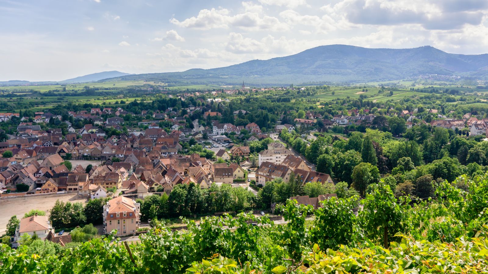 France-Obernai-View: Summer in Alsace