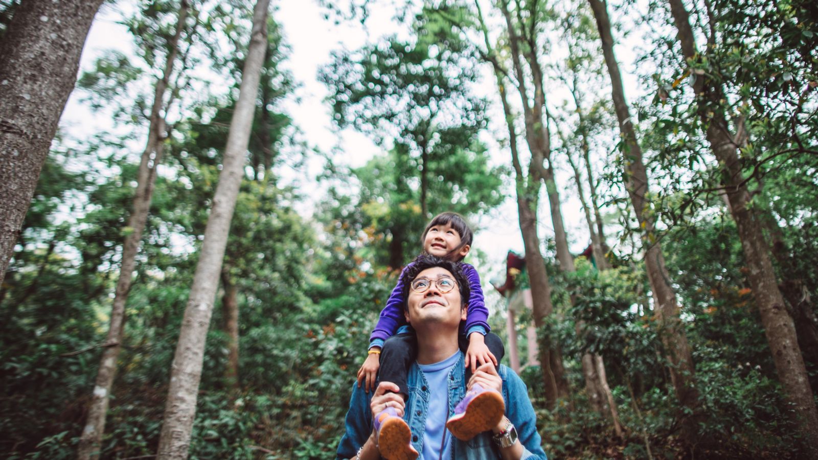 Dining out; Restaurant; Singapore restaurants