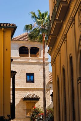 Palais de Buenavista qui abrite le musée Picasso à Malaga