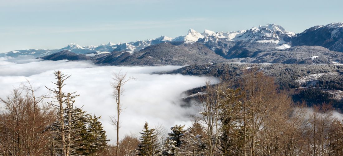 Snowy Alps Above the Clouds - Saint-Cergues, France