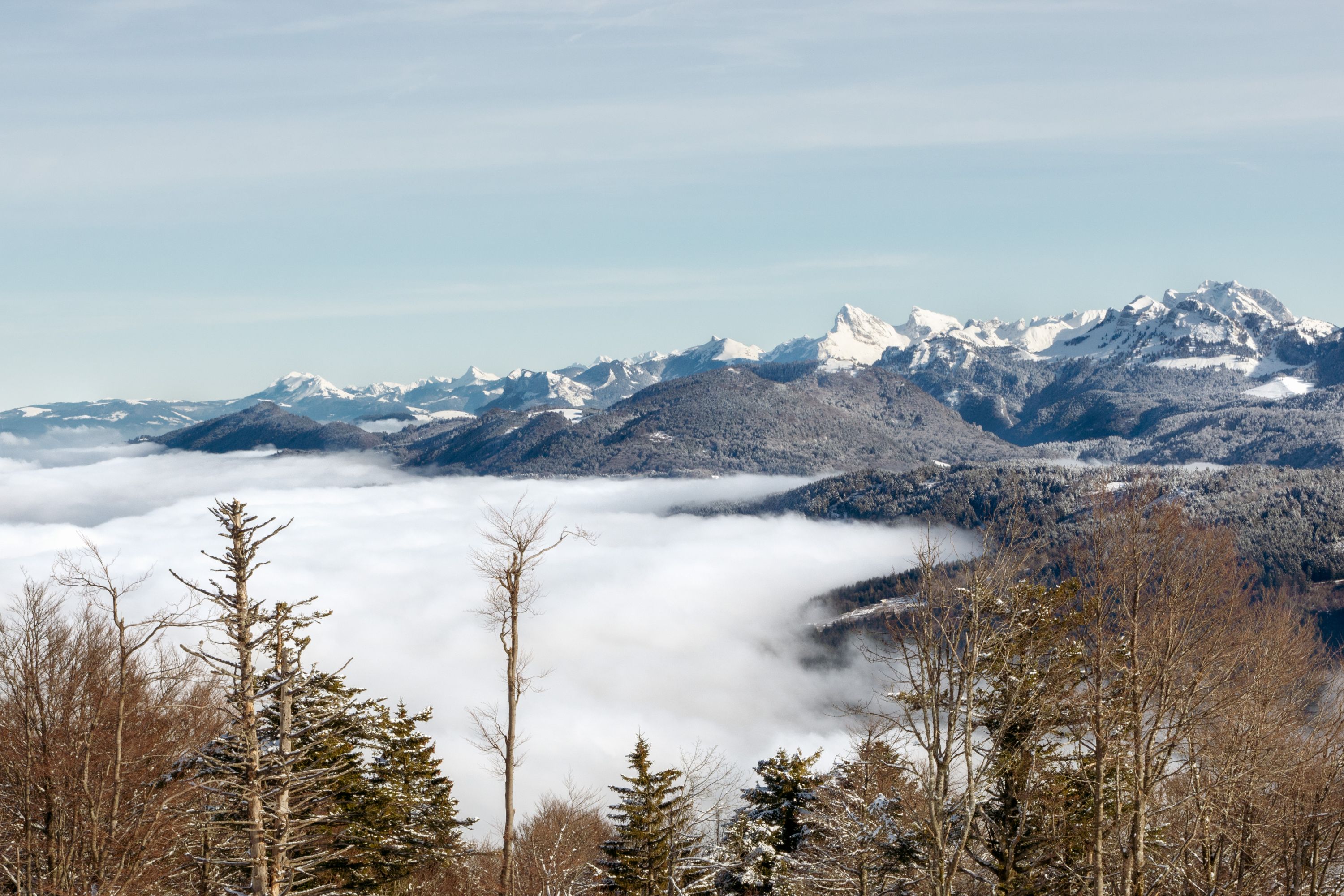 Snowy Alps Above the Clouds - Saint-Cergues, France