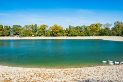 The lake in Bundek Park, Zagreb, with a quiet shoreline, blue waters, leafy trees and a family of swans