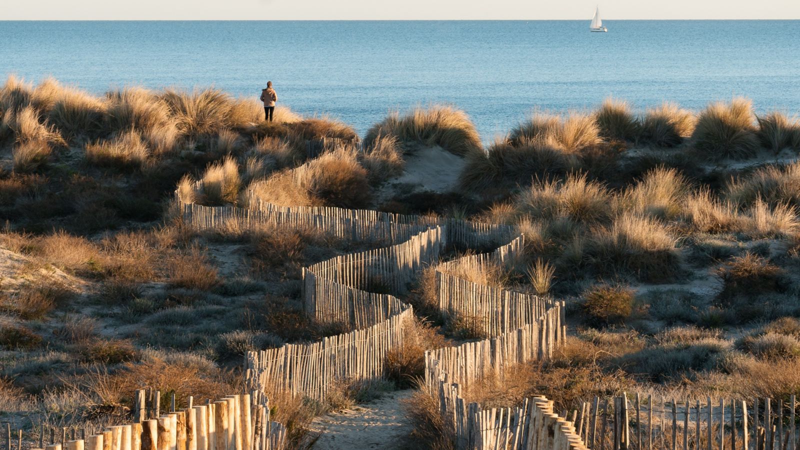 Edinburgh/fringe/festival