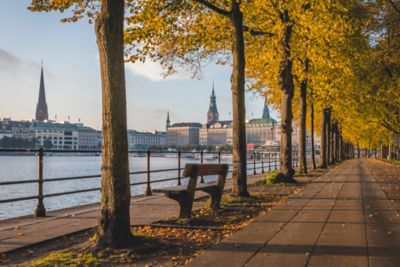 Der Neue Jungfernstieg, eine baumbestandene Straße an der Binnenalster in Hamburg