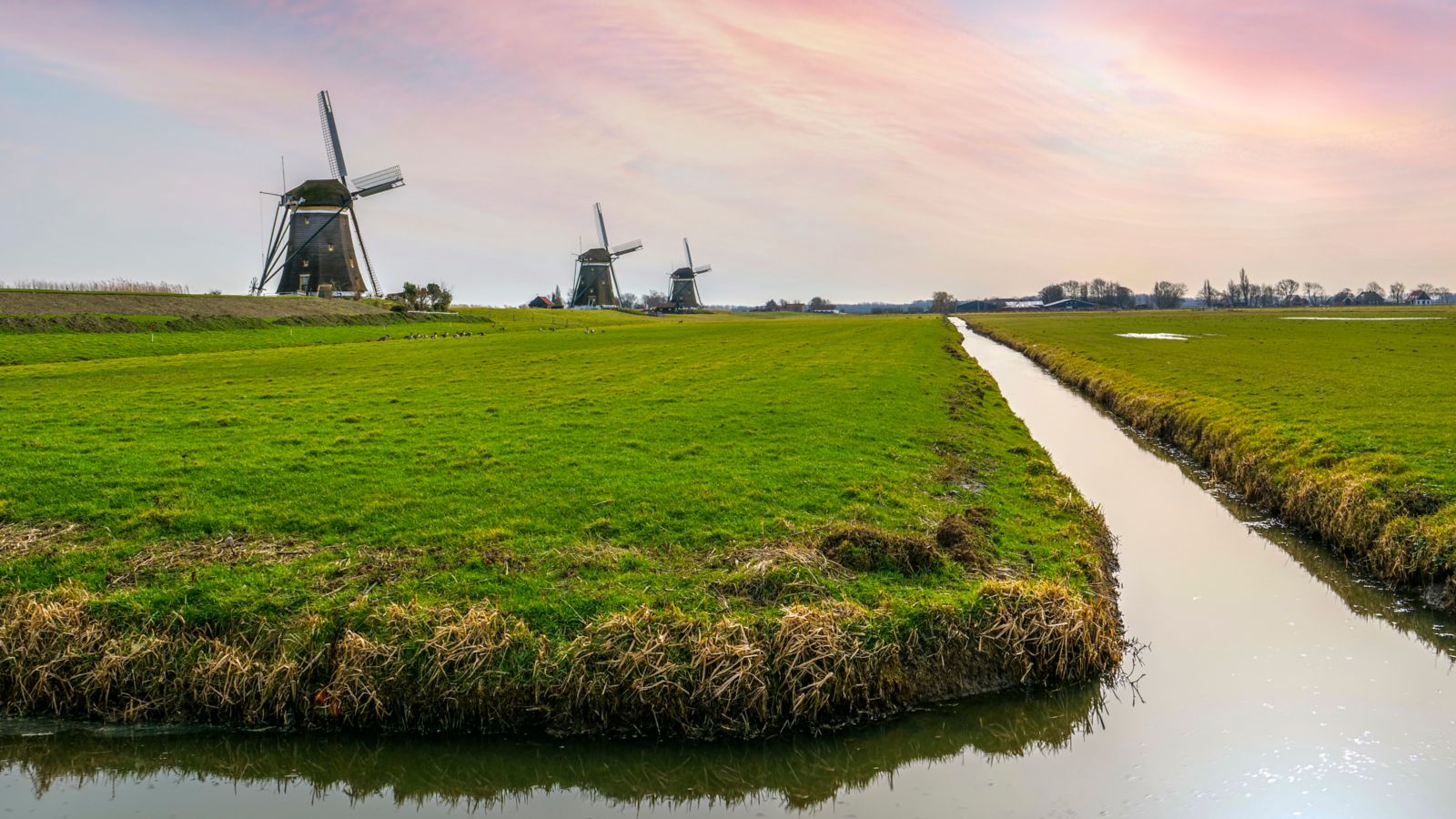 Edinburgh/fringe/festival