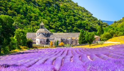 Lavender fields and a stone abbey in Gordes, popular for walking holidays in France