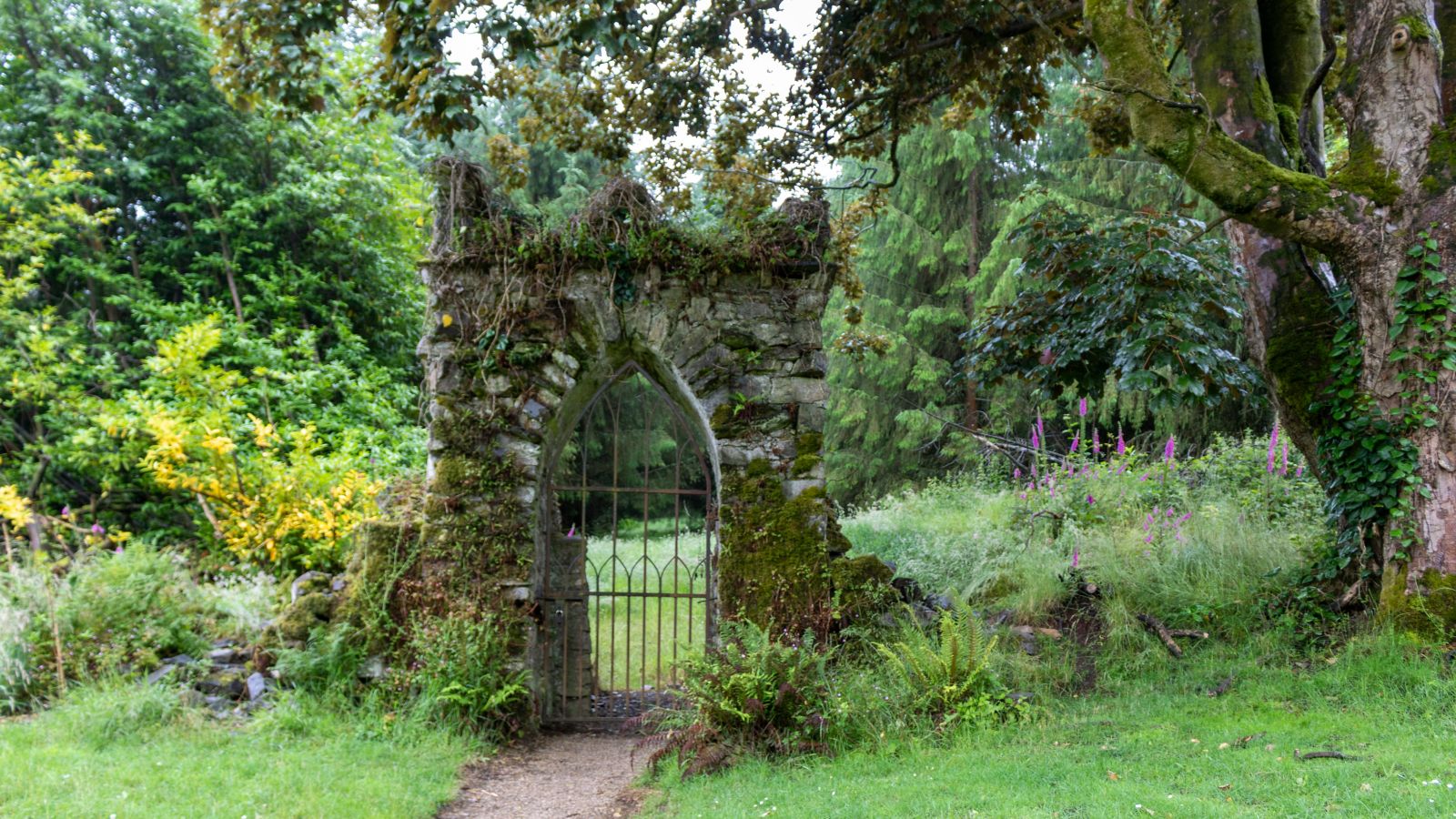 Edinburgh/fringe/festival