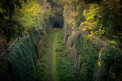 Voie ferrée désaffectée le long de la Petite Ceinture