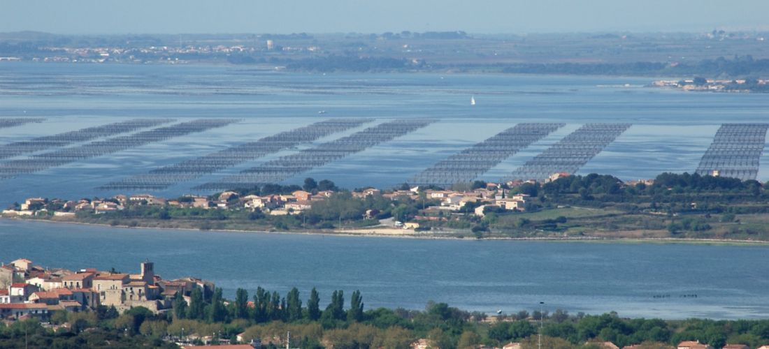 Balaruc-le-Vieux and Oyster Beds from the Gardiole Massif