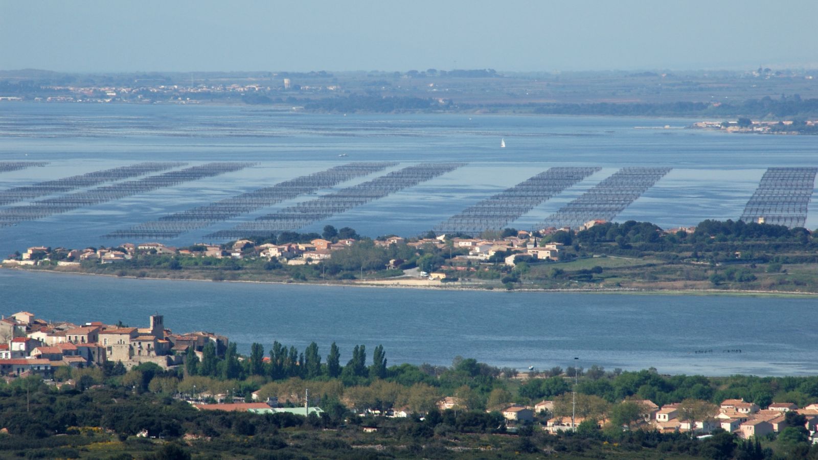 Balaruc-le-Vieux and Oyster Beds from the Gardiole Massif